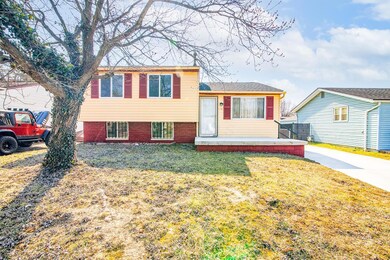 1641 Bluhm