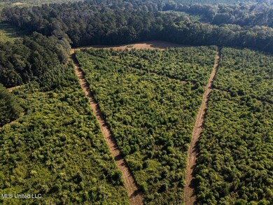 5073 Rollinson Rd, Liberty, MS 39645 - photo 5