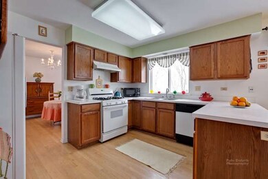 923 Cortney Dr, Carpentersville, IL 60110 - photo 6