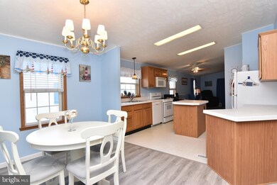 35960 Jake Dr unit 49799, Rehoboth Beach, DE 19971 - photo 7