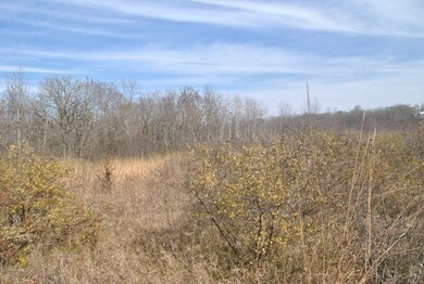 2 Acres Mound View Rd, Middleton, WI 53562 - photo 4