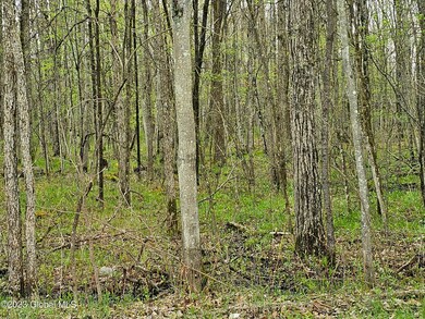 L30 Muldowney Rd, Saratoga Springs, Outside, NY 12866 - photo 2