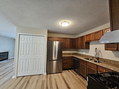1093 Kane St unit 1093, South Elgin, IL 60177 - photo 3
