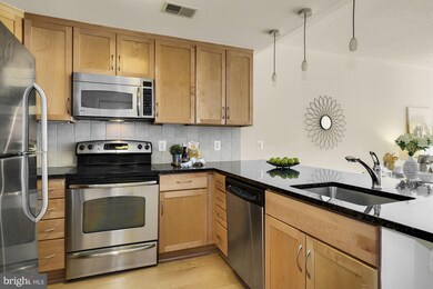 The Residences at Liberty Center unit 1405, Arlington, VA 22203 - photo 6