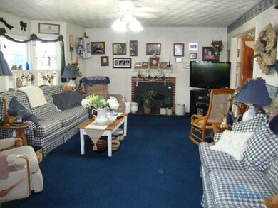 113 Charles St, Archbold, OH 43502 - photo 4