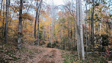 15 Deer Run Ln, Shipman, VA 22971 - photo 7