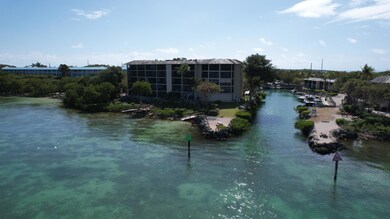 DJI_0229