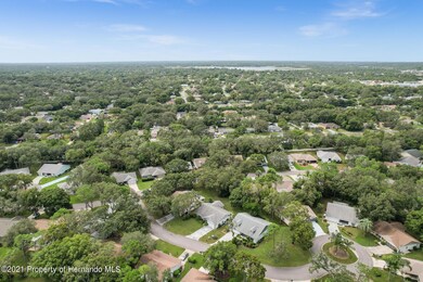 2201 Merion Ct, Spring Hill, FL 34606 - photo 5