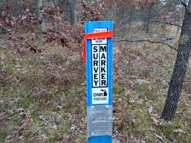 IMG_20161028_174954