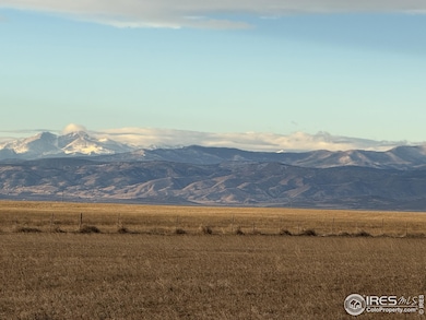 3 Tbd Lot B Ffd25-0006 Wcr 15, Carr, CO 80612 - photo 4
