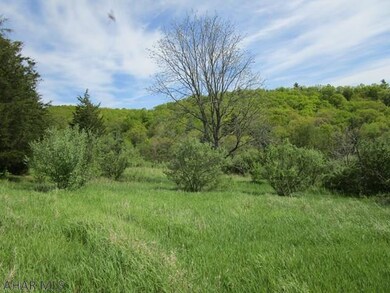 Off Imlertown Rd, Bedford Township, PA 15522 - photo 7