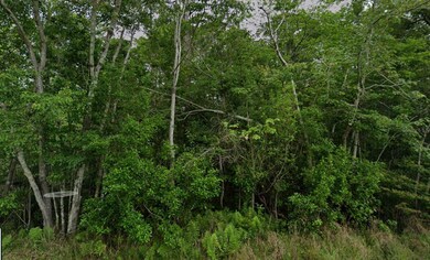 0 Pearson Rd unit MFRW7873871, Milton, FL 32583 - photo 4