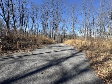 37 Village Dr, Cohutta, GA 30710 - photo 6