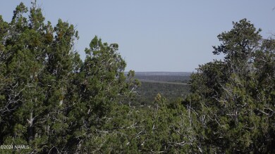 837 E Jackpine Ln unit 47, Williams, AZ 86046 - photo 7