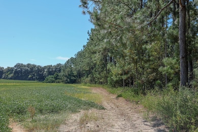 Pullen Rd, Damascus, GA 39841 - photo 3