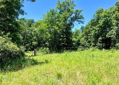View of undeveloped land