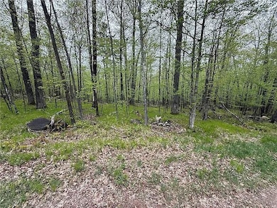 17595 Wood Crest Dr, Cable, WI 54821 - photo 3