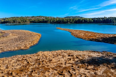 26 Tidal Creek Rd, Brooksville, ME 04642 - photo 3