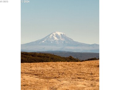 0 Niva Rd, Centerville, WA 98613 - photo 3