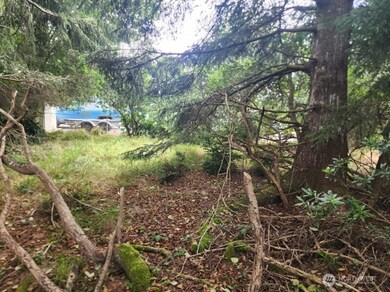 772 Island Cir SE, Ocean Shores, WA 98569 - photo 5