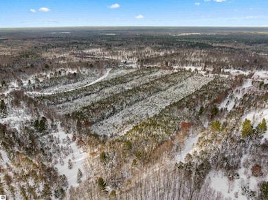 40 acres Cedar Creek Rd, Fife Lake, MI 49633 - photo 7