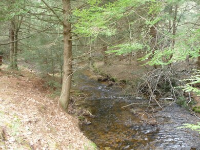Stream