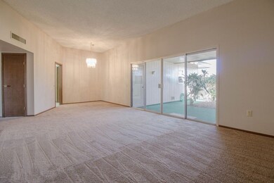 10860 W Thunderbird Blvd, Sun City, AZ 85351 - photo 6