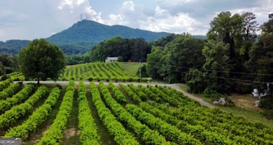 302 Gumlog Dr, Lavonia, GA 30553 - photo 4