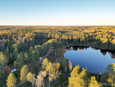 2920 Bywater Ln, Republic, MI 49879 - photo 3