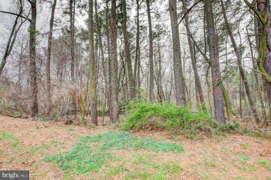 101 Hillside Rd, Chestertown, MD 21620 - photo 6