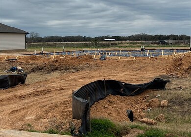 9014 Bowie Trail Ct, Needville, TX 77461 - photo 3