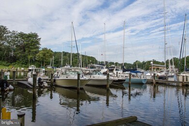 14 Spa Creek Landing unit A3, Annapolis, MD 21403 - photo 5