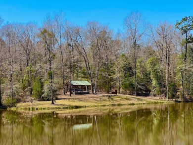 2714 County Road 54, Ozark, AL 36360 - photo 3