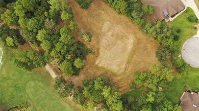 28103 Meadow Forest, Magnolia, TX 77355 - photo 3