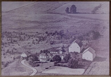 5 Homestead Original