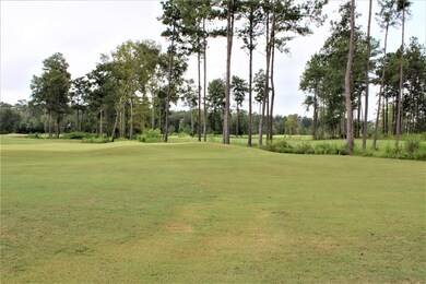 30164 Alpine Aster Ln, Cleveland, TX 77327 - photo 3