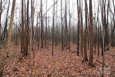 4+/-AC LOT 3 Eaker Rd, Kings Mountain, NC 28086 - photo 2