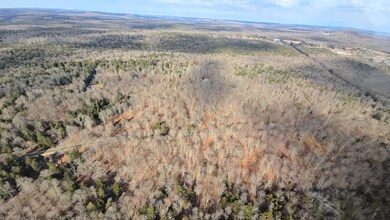 908 W Wadi Rd W, Pocono Lake, PA 18347 - photo 4