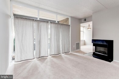 11557 Rolling Green Ct unit 201, Reston, VA 20191 - photo 5