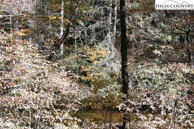 9700 Elk Creek Rd, Deep Gap, NC 28618 - photo 6