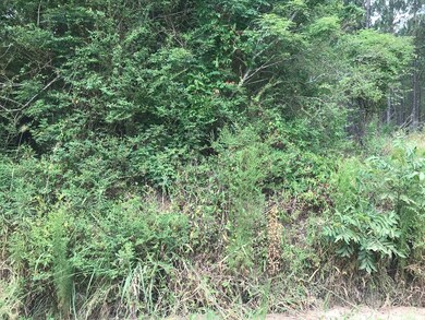 000 Brady Rd, Cordele, GA 31015 - photo 6