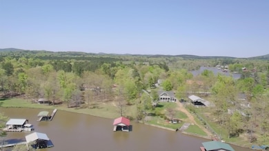 1429 County Road 131, Cedar Bluff, AL 35959 - photo 3