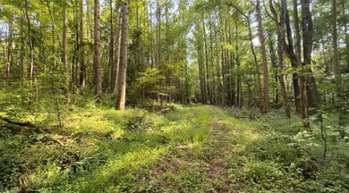 TBD-1 Peter Mabe Rd, Danbury, NC 27016 - photo 5