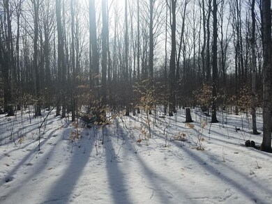Twin Peaks Vacant Land 2