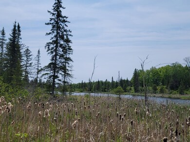 Water view with a forest