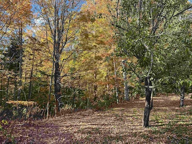 1502 US Route 2, Randolph, NH 03593 - photo 7