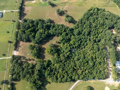 0 Cane Creek Rd unit 25620255, Flora, MS 39071 - photo 5