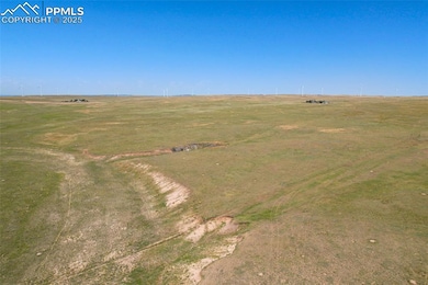 13150 Nixon Point, Calhan, CO 80808 - photo 6