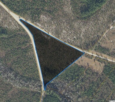 tbd Carriage Dr unit Lot B, Loris, SC 29569 - photo 6