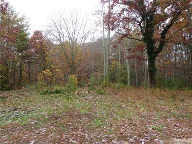 99 Blooming Laurel Dr, Hendersonville, NC 28792 - photo 7